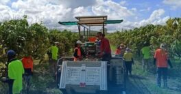 Cara kerja di Australia