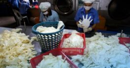 Syarat Kerja di Pabrik Sarung Tangan