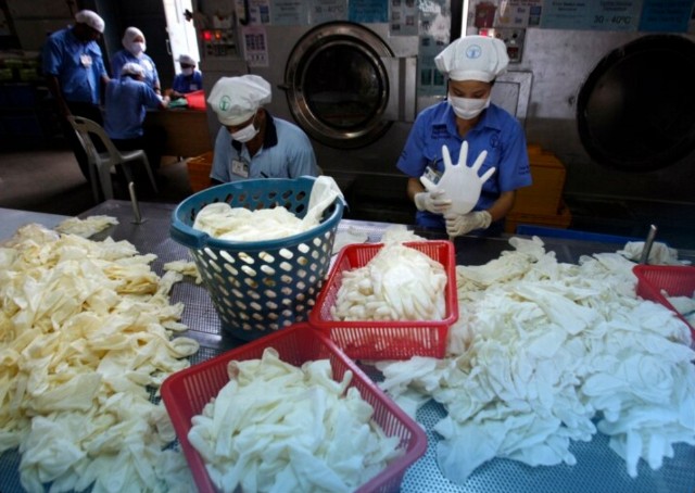 Syarat Kerja di Pabrik Sarung Tangan