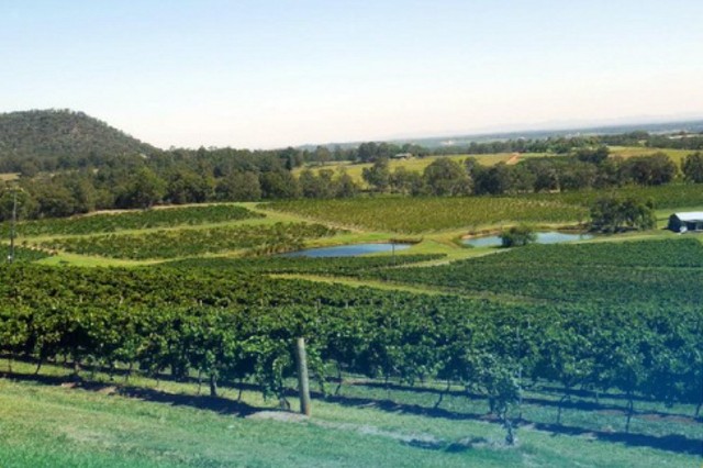 Syarat Kerja di Perkebunan Australia