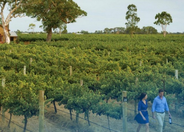 Syarat Kerja di Perkebunan Australia